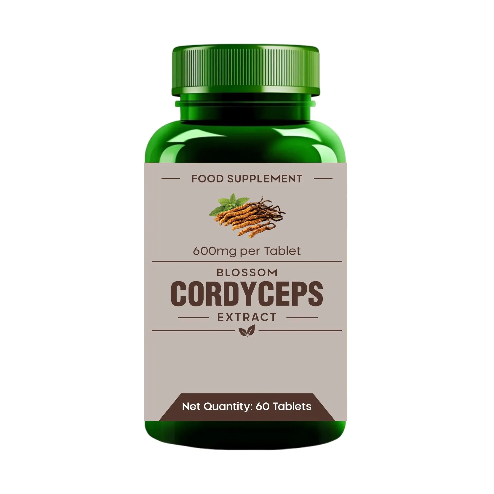 Cordyceps Extract