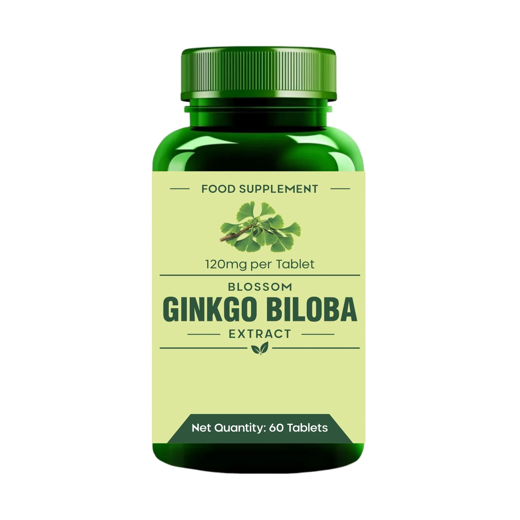 Ginkgo Biloba Extract